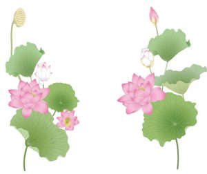 %e8%93%ae%e8%8f%af%e5%8e%9f%e7%a8%bf